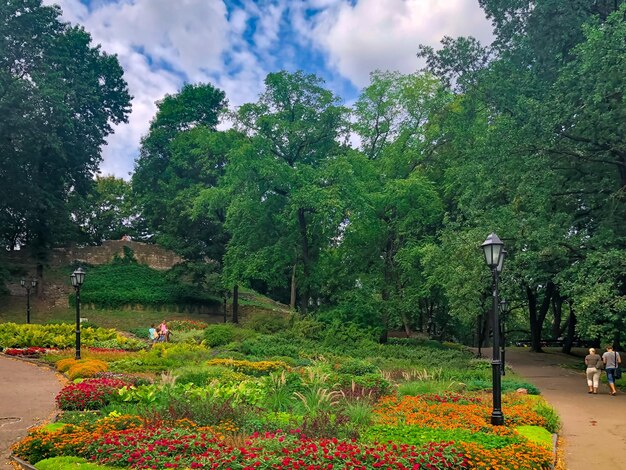 Lettonia riga giornata estiva nel parco