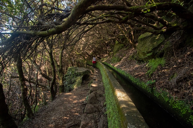 Levada di 25 caratteri