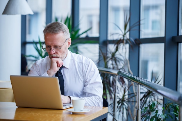 Libero professionista maschio sta lavorando in un bar su un nuovo progetto di business. Si siede a una grande finestra al tavolo. Guarda lo schermo di un laptop con una tazza di caffè