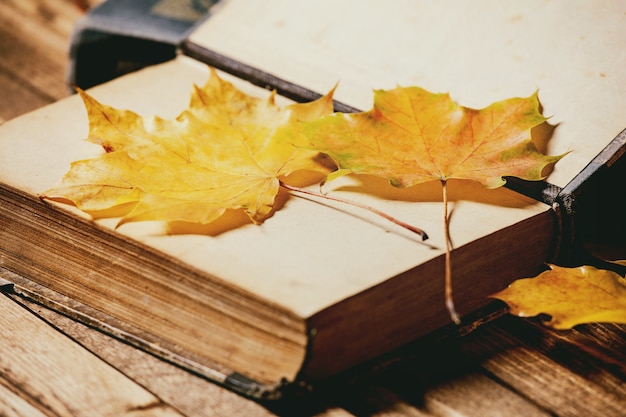 Libri e foglie d'autunno