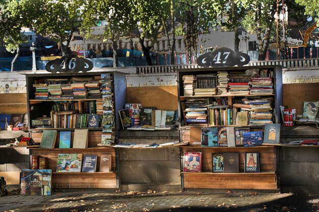 Libri sugli scaffali in vendita