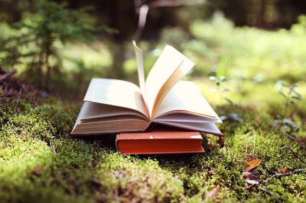 Libro aperto all'aperto. Sapere è potere. Prenota in una foresta. Prenota su un moncone