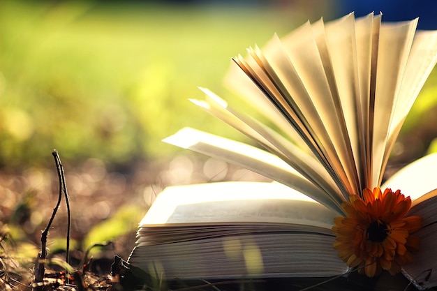 Libro aperto con fiore sull'erba