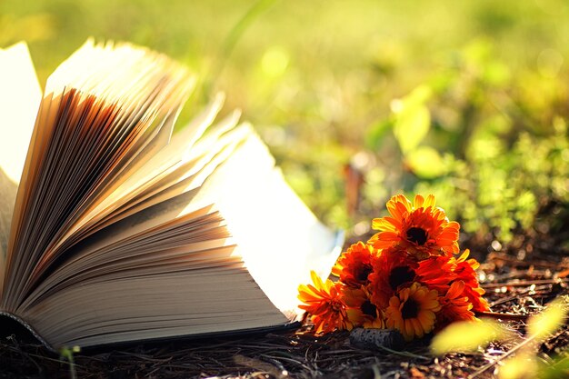 libro aperto con fiore sull'erba