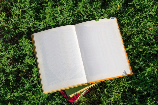 Libro aperto con pagine bianche su erba verde green