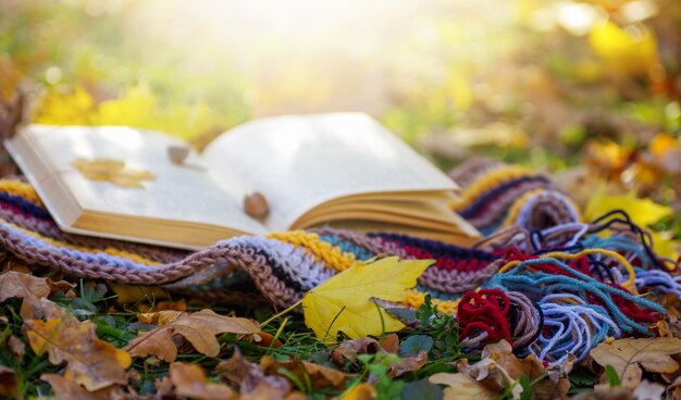 Libro aperto sullo sfondo del parco autunnale