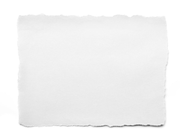 Libro bianco strappato su sfondo bianco