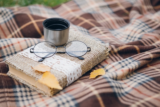 Libro, bicchieri e tè caldo di un thermos giacciono su una coperta