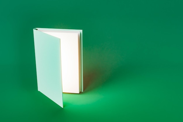 Libro di testo 3D posizionato su sfondo verde