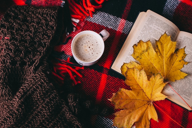 libro e foglie di autunno sul plaid rosso