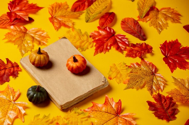 Libro romantico e zucca con foglie d'autunno su sfondo giallo. Vista dall'alto