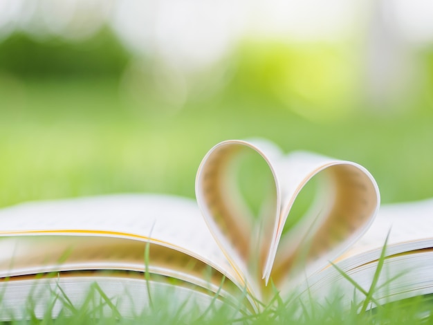 Libro sul tavolo in giardino con la parte superiore aperta e pagine a forma di cuore.