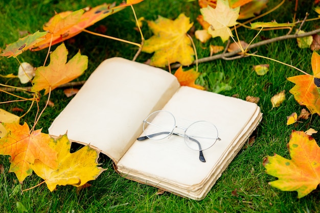 Libro vintage e bicchieri con foglie di acero su un prato verde in un giardino