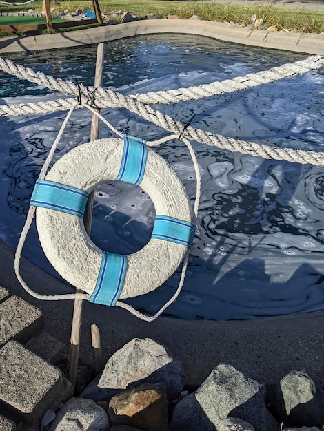 Lifebuoy vicino alla piscina all'aperto soleggiata con corde di sicurezza