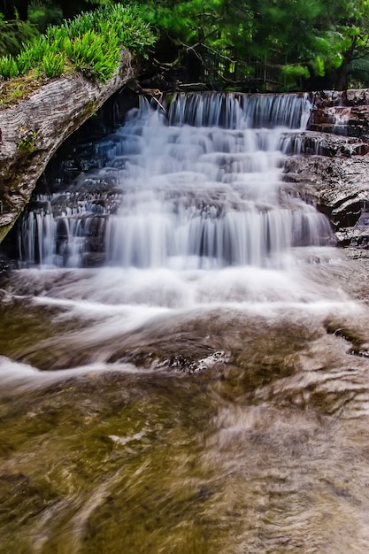 Liffey Falls State Reserve nella regione delle Midlands della Tasmania, in Australia.