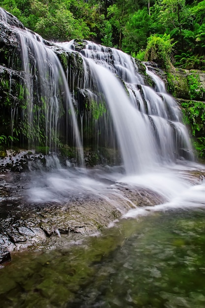 Liffey Falls State Reserve nella regione delle Midlands della Tasmania, in Australia.