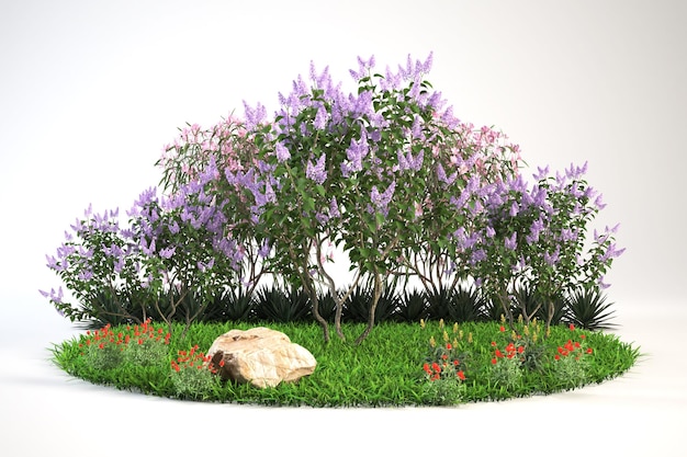 Lilac cespugli fiori rosa erba verde fiori rossi pietra