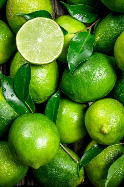 Lime succoso fresco con foglie