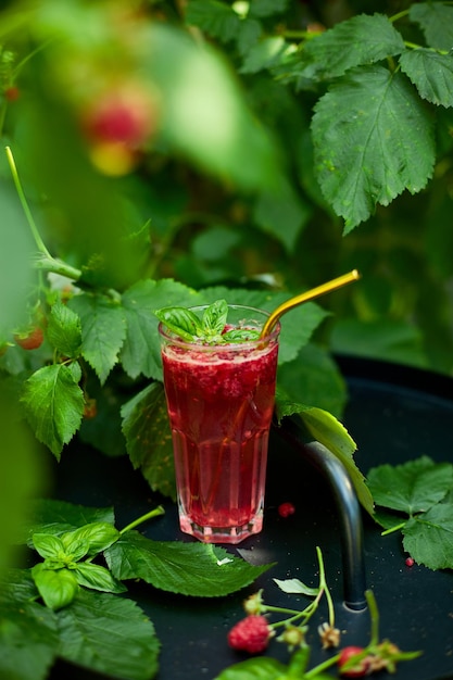 Limonata all'acqua disintossicante al basilico al lampone Bevanda fredda estiva