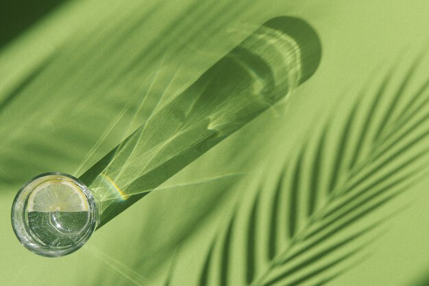 limonata e ombra di palma su sfondo verde con ombre