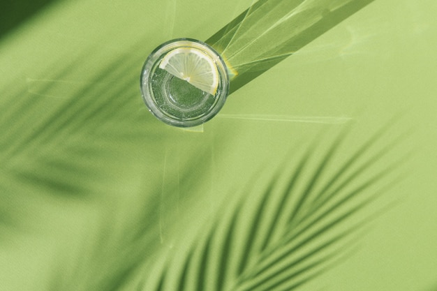 limonata e ombra di palma su sfondo verde con ombre