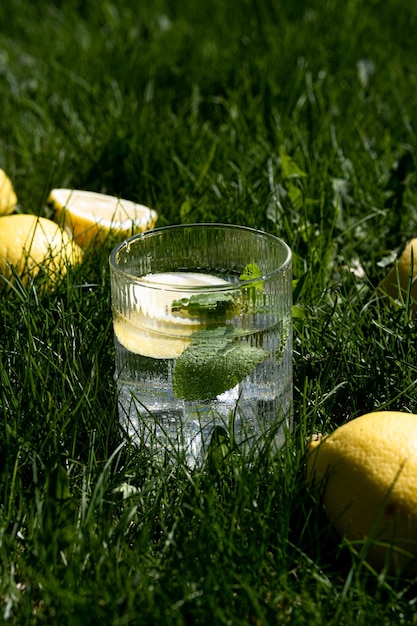 Limonata fresca e ghiacciata agli agrumi a base di limone e menta Limonata estiva a basso contenuto calorico senza zucchero Limonata sullo sfondo dell'erba Limonata naturale La foto è stata scattata con luce naturale