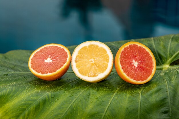 Limone e pompelmo freschi che si trovano su una foglia verde vicino con acqua