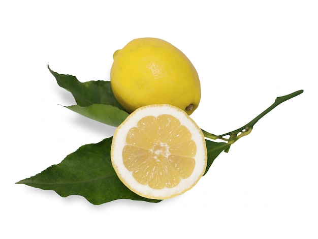 Limone intero e mezzo con foglie su bianco