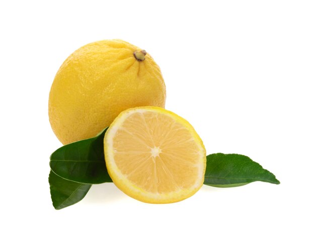 Limoni con foglie su bianco