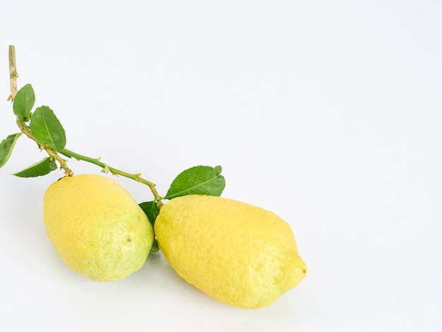 Limoni con foglie