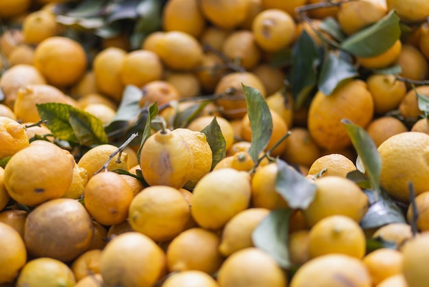 Limoni di frutta fresca con foglie, messa a fuoco selettiva morbida