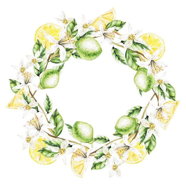 Limoni, fiori e foglie, corona dell'acquerello.Frutti. Illustrazione