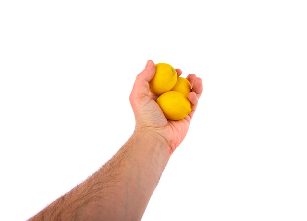 Limoni in mano umana isolati su sfondo bianco