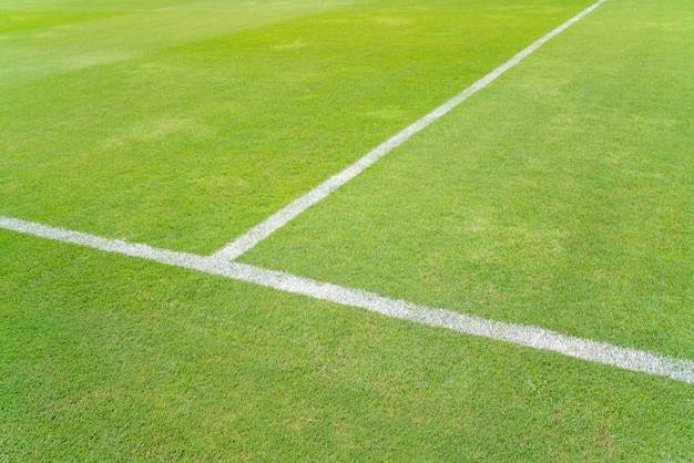 Linea bianca su un calcio di erba verde, campo di calcio centrale.