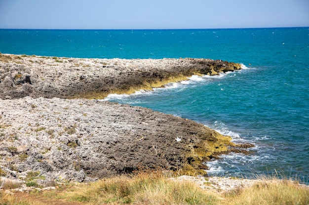 Linea blu di acqua di mare calmo e costa di pietra calcarea dell'Adriatico