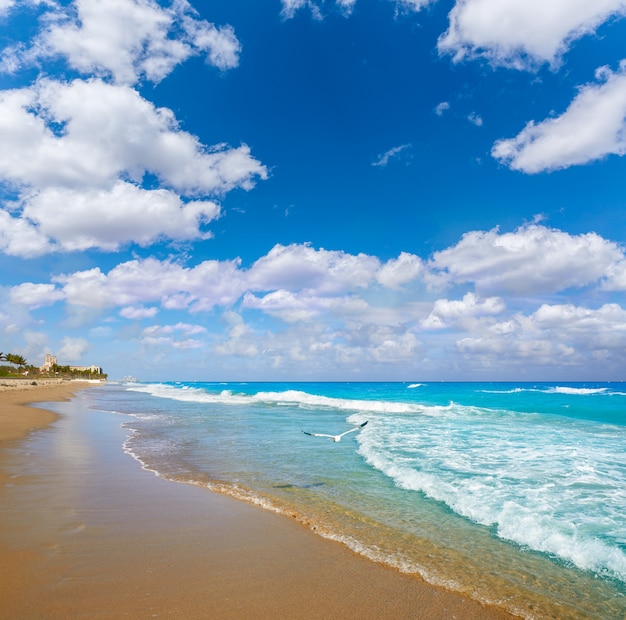 Linea costiera Florida Stati Uniti della spiaggia della spiaggia di Palm Beach