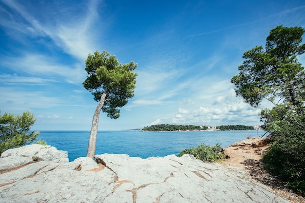 Linea costiera in Croazia Forte tè verde blu oceano e cielo