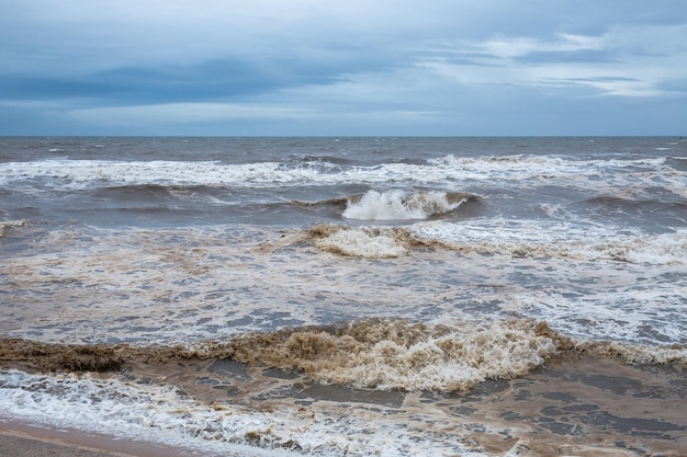 Linea di alghe sporche di surf sulla spiaggia