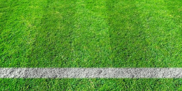 Linea di calcio in erba verde del campo di calcio. Modello di campo di prato verde per sfondo.