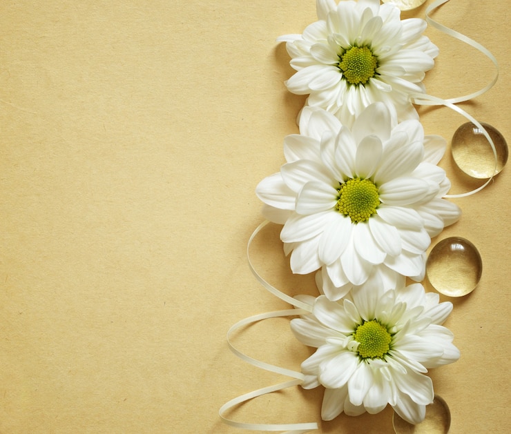 Foto linea di camomie su carta beige, laici piatta