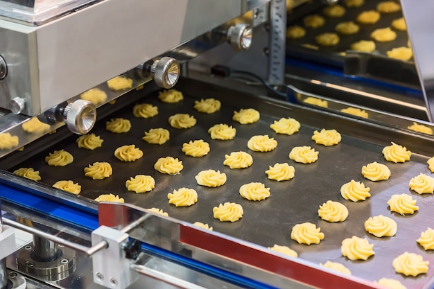 Linea di produzione di biscotti