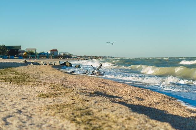 Linea di spiaggia di sabbia del mare in tempesta.