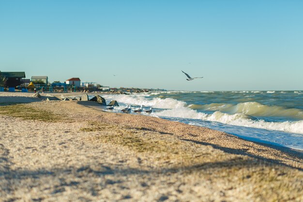 Linea di spiaggia di sabbia del mare in tempesta.