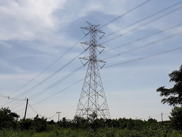 Linea di trasmissione elettrica Torre ad alta tensione nel campo in erba