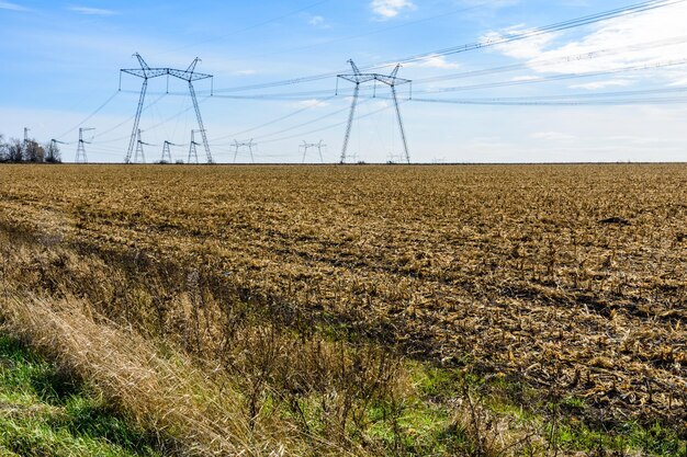 Linea elettrica ad alta tensione in un campo in autunno