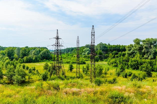 Linea elettrica ad alta tensione in una foresta