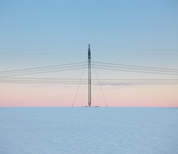 Linea elettrica nel campo di neve al tramonto pastello