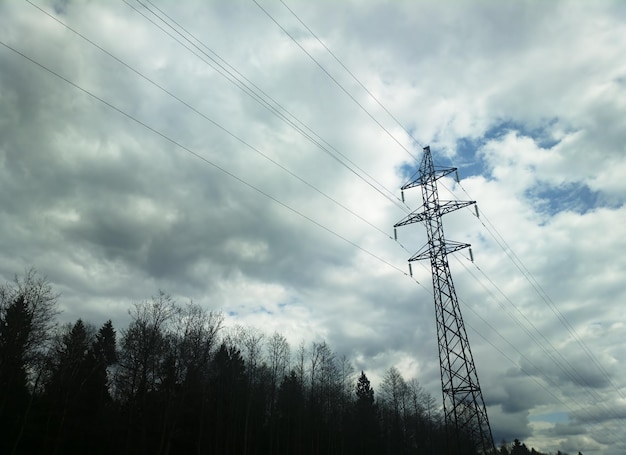 Linea elettrica sullo sfondo della foresta