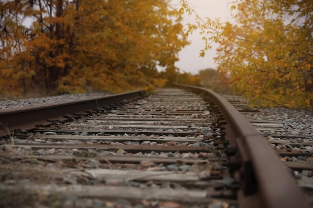 Linea ferroviaria con ballast in campagna Viaggio in treno