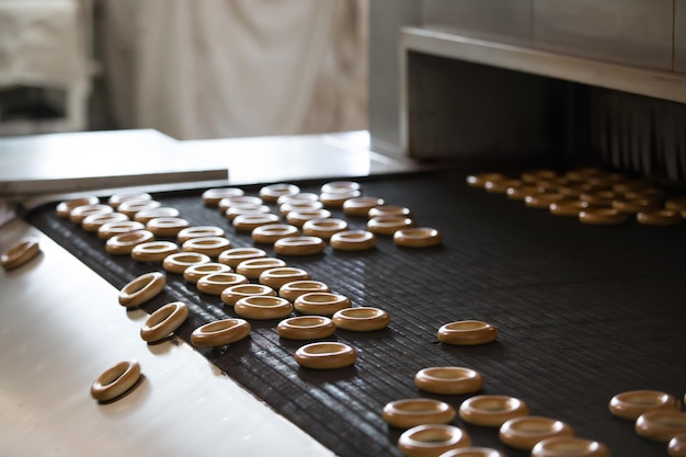 Linea industriale per la produzione di spille e biscotti